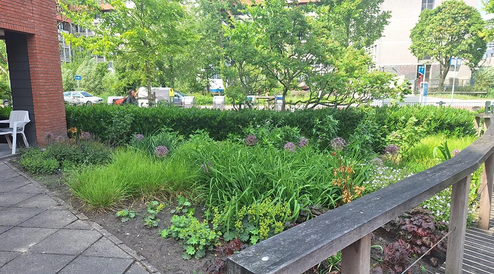 Binnentuinen A.J. Ernststraat - foto 3