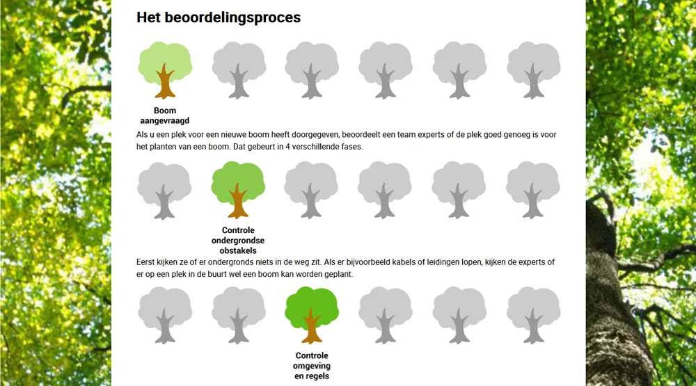 Nieuwe Bomen Amsterdam - foto 6